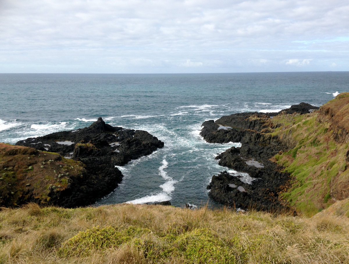 PIWalkabout's tweet image. Walking in the morning shines a whole new light on my arvo walks...