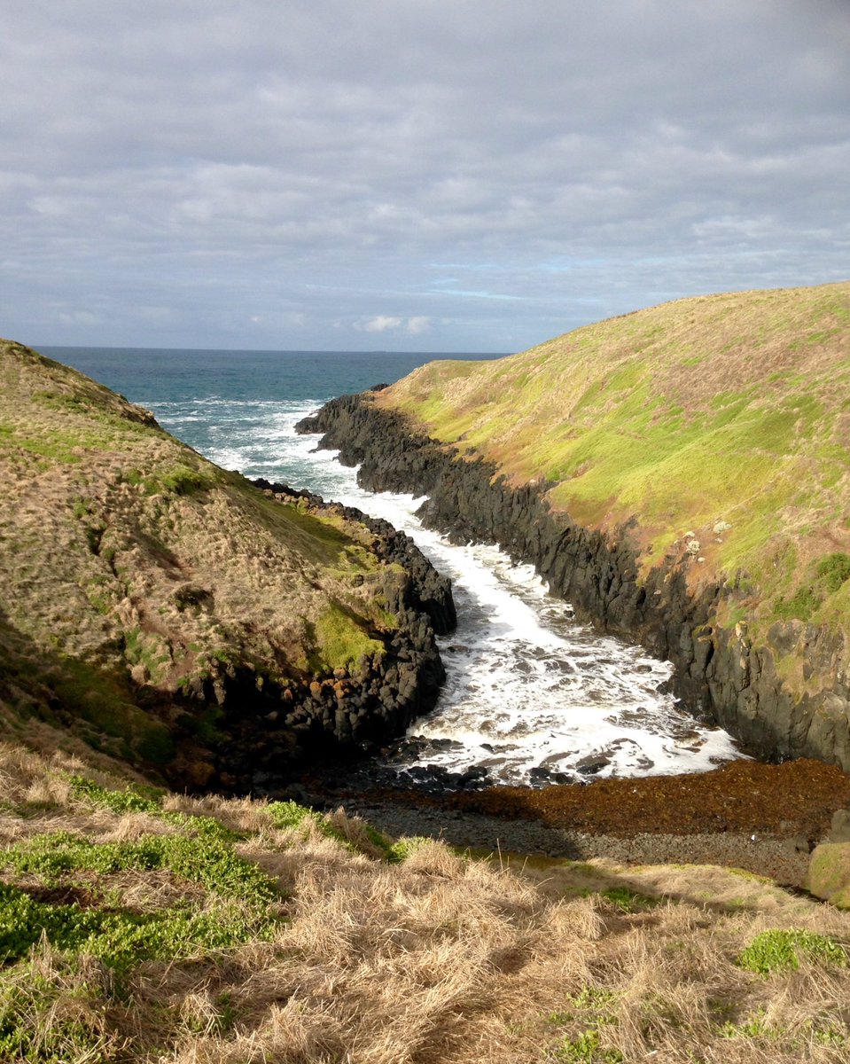 PIWalkabout's tweet image. Walking in the morning shines a whole new light on my arvo walks...