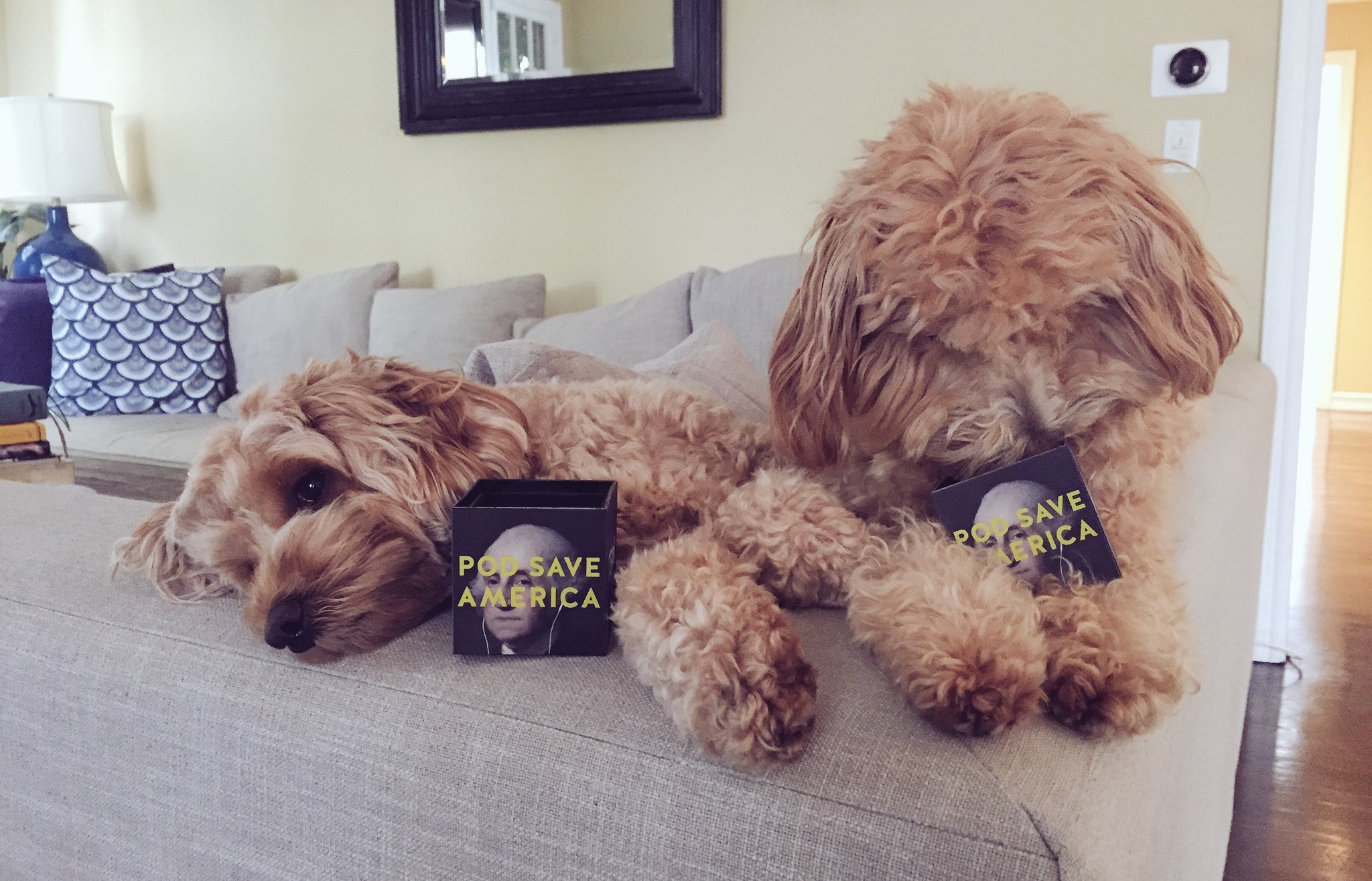 jon favreau emily black instagram emily black favreau on twitter quot just two pod pups jon favreau emily black instagram emily black favreau on twitter quot just two pod pups