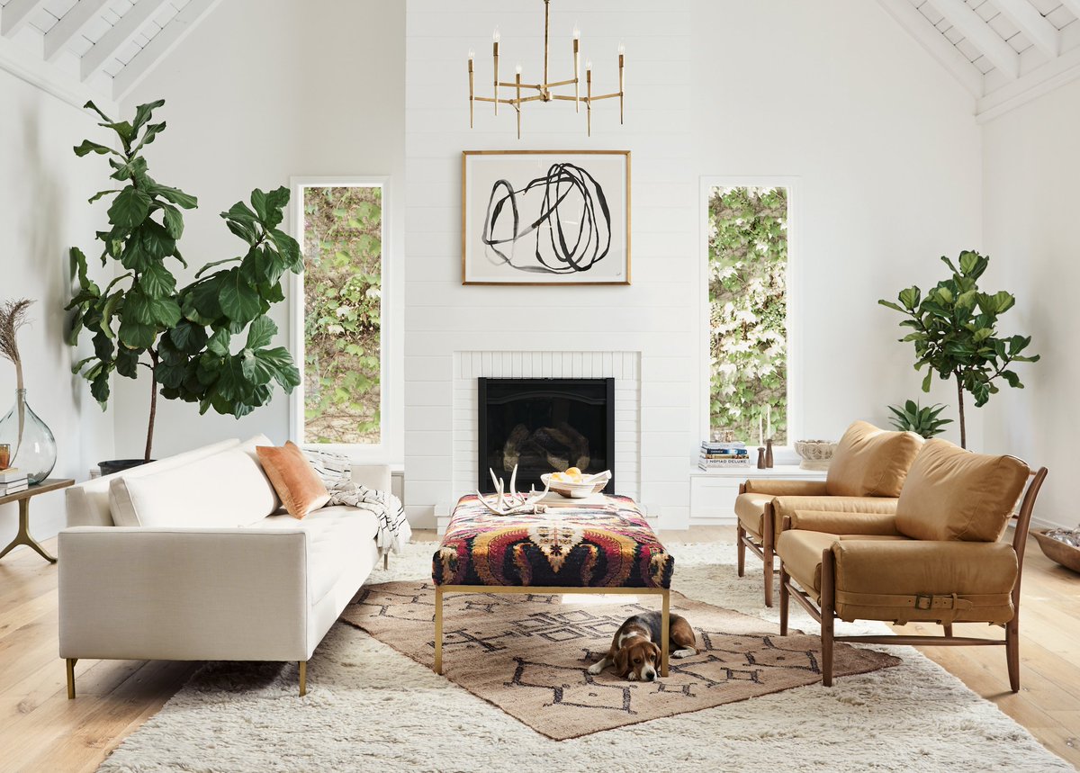 Anthropologie tweet media