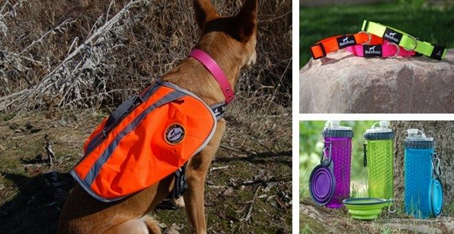 whywewag1's tweet photo. We're cleaning up the inventory! Special prices, amazing deal. Buy today! #dogproducts #dogaccessories https://t.co/vP1U0acYeW https://t.co/TkoUJ2DAwK