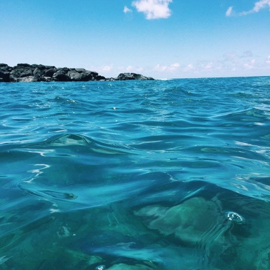 oceanviibess's tweet photo. missing the beautiful ocean https://t.co/ezq12hHxOb