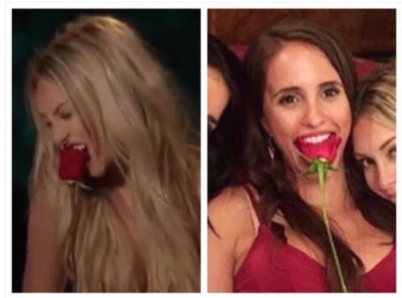 jimmyjohns's tweet photo. Feed these girls some sandwiches @BachelorABC https://t.co/DUXsRjlRzj