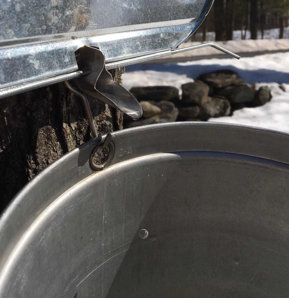 We're taking a quick break from cider making to indulge in our favorite New England tradition, maple sugaring!