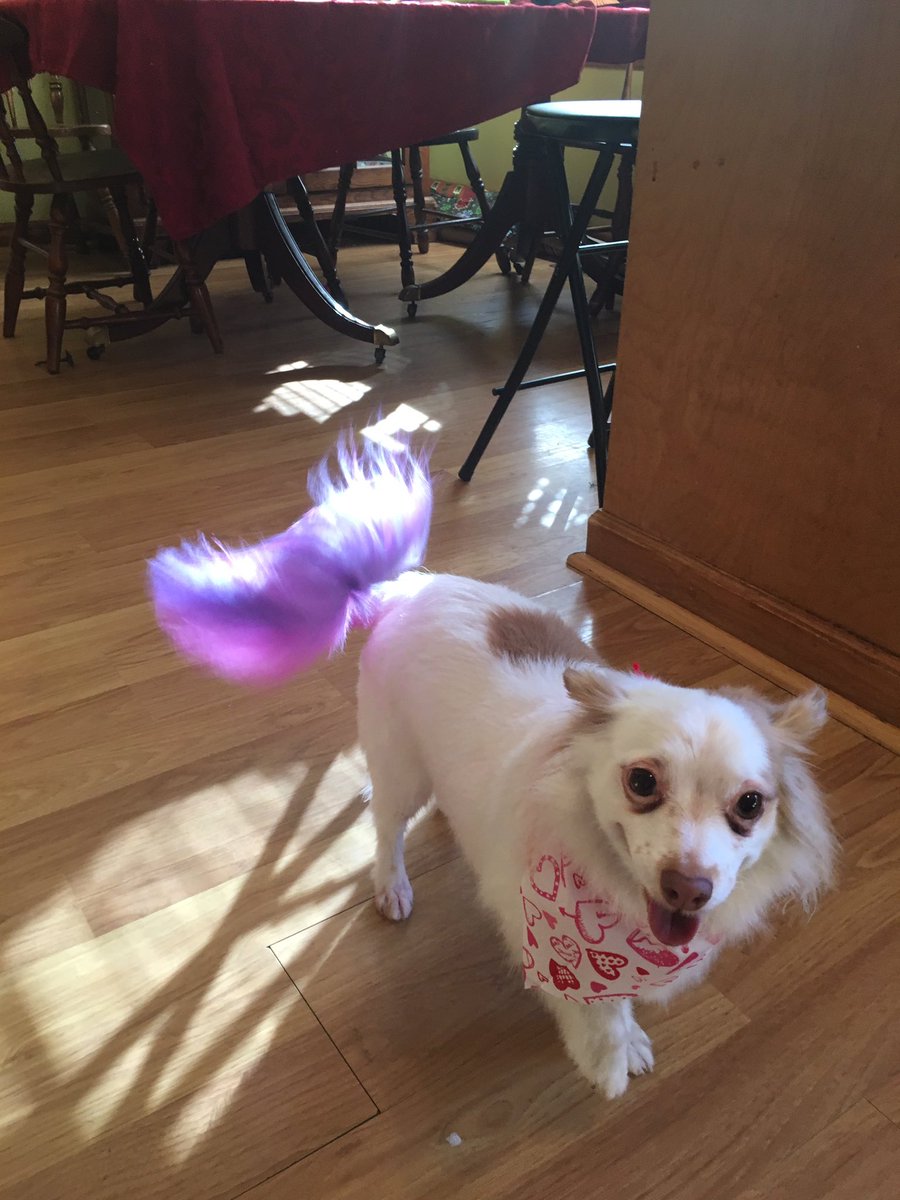 Hartpro01's tweet image. New area of my job, trying coloring. Not too bad !!