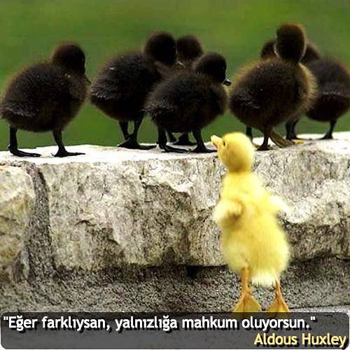 #GidenlereMesajım Farklıysan yalnız kalıyorsun
