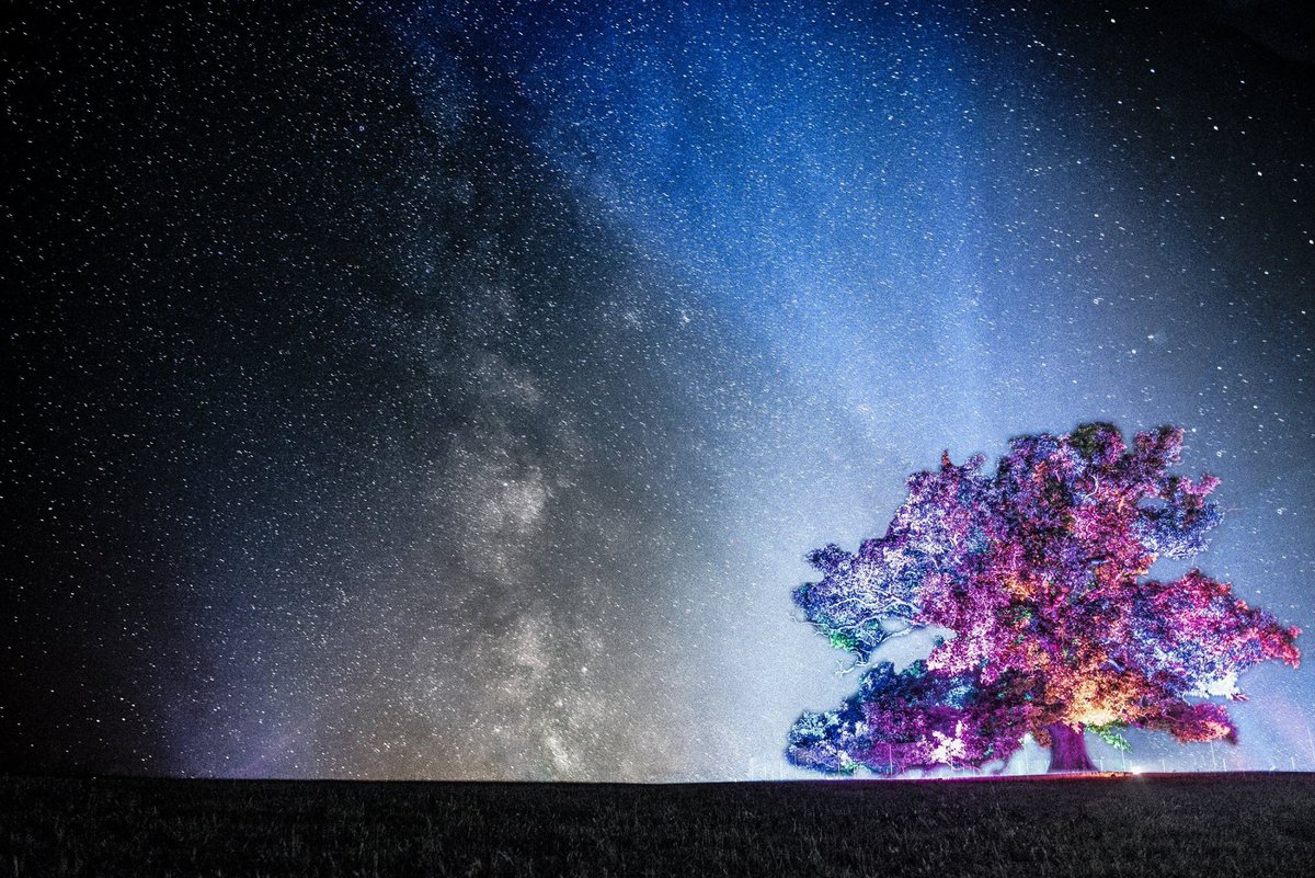 Make a wish. ✨ 📸: <a href="/JakeWisdom/">Jake Wisdom</a>