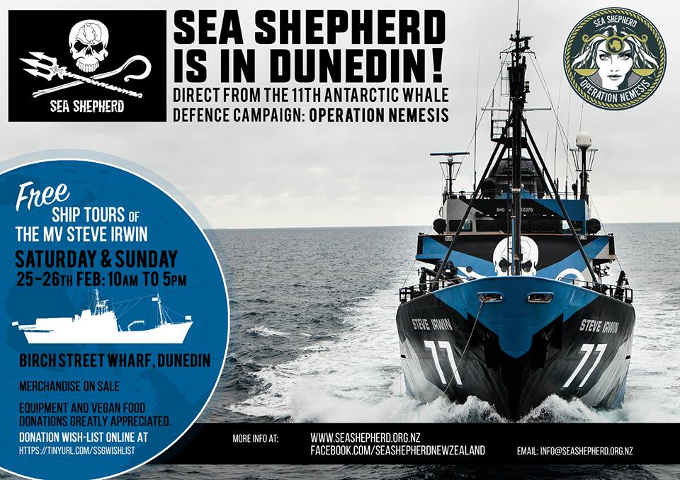 After more than 80 days at sea as part of #OpNemesis <a href="/MYSteveIrwin/">M/Y Steve Irwin</a> will arrive into New Zealand. Tours will be run this weekend in Dunedin