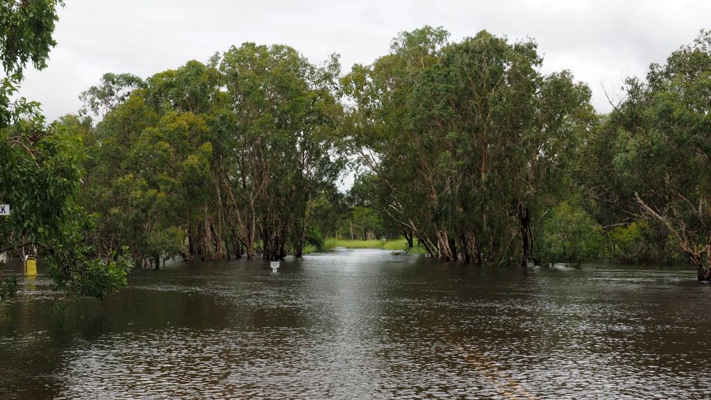 The #TopEnd is receiving some of the highest rainfall ever this wet. More info on charternorth.com.au/kakadu-tours-2… #KakaduNationalPark #TheKimberley