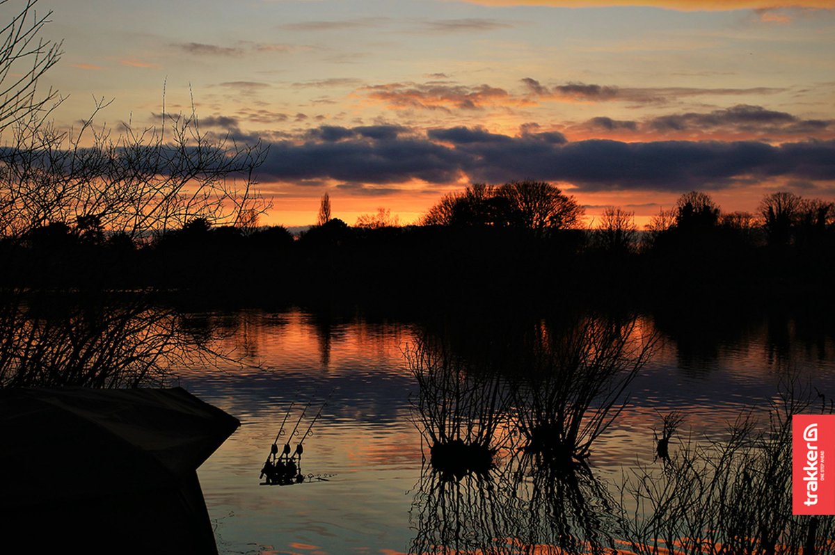 Trakker_Carp's tweet photo. Morning glory, courtesy of the Clone Vally Carper, AKA Ru Whiteman #TempestLife #TempestBrolly #SkullCap https://t.co/wQclStjFC7