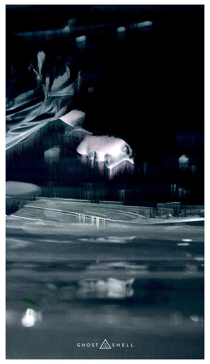 James McKelvie tweet media