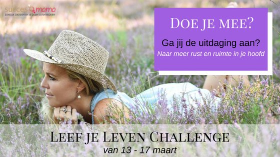 Kies bewust, kies voor rust! Durf jij deze uitdaging aan?
goo.gl/NyDwii
#succesmama #leefjeleven #rust