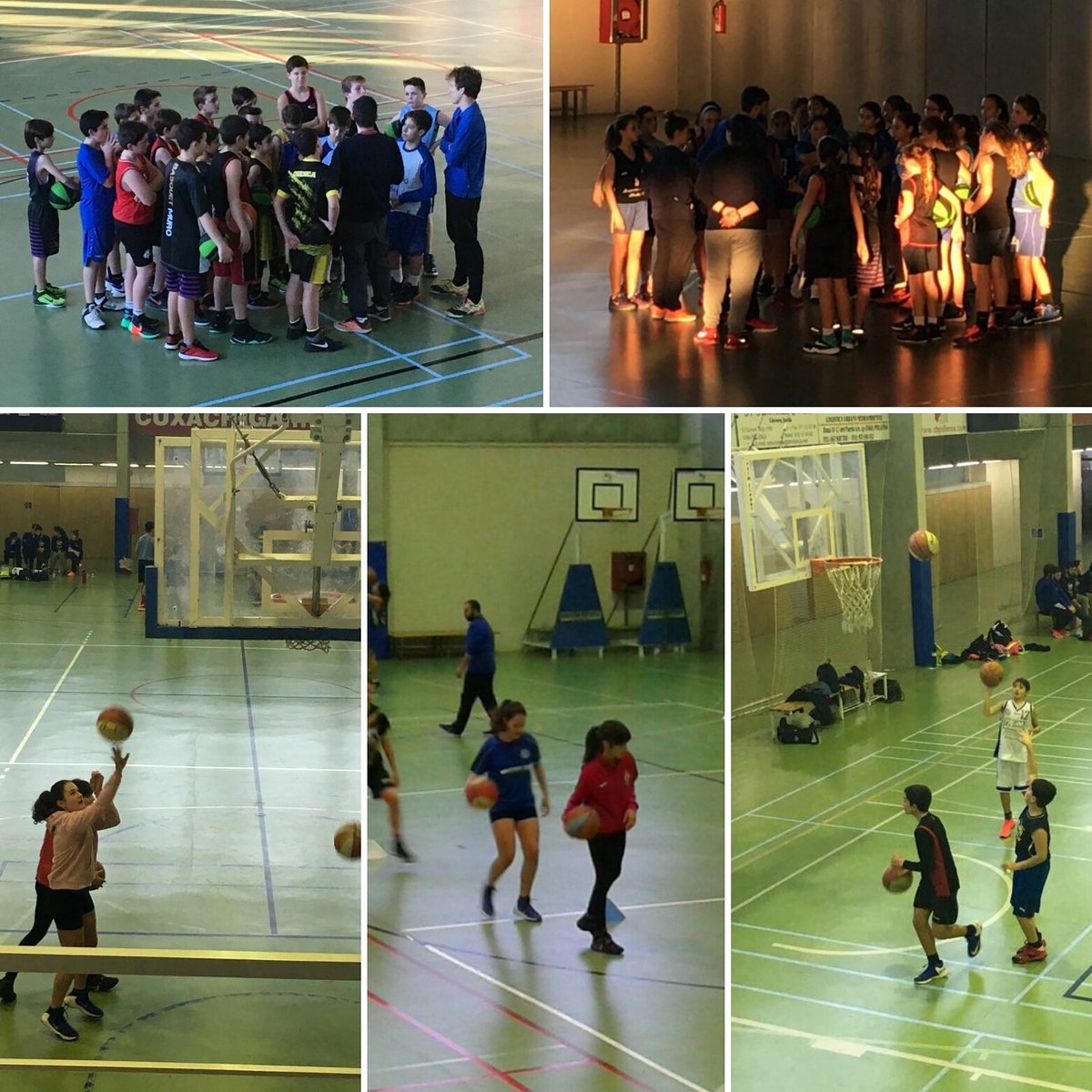 joventutmariana's tweet photo. Gran experiència viscuda diumenge passat per diversos jugadors i jugadores del club a la primera jornada del #PDTIB a la comarca 1 💪💪 https://t.co/e7sKFQaWsp