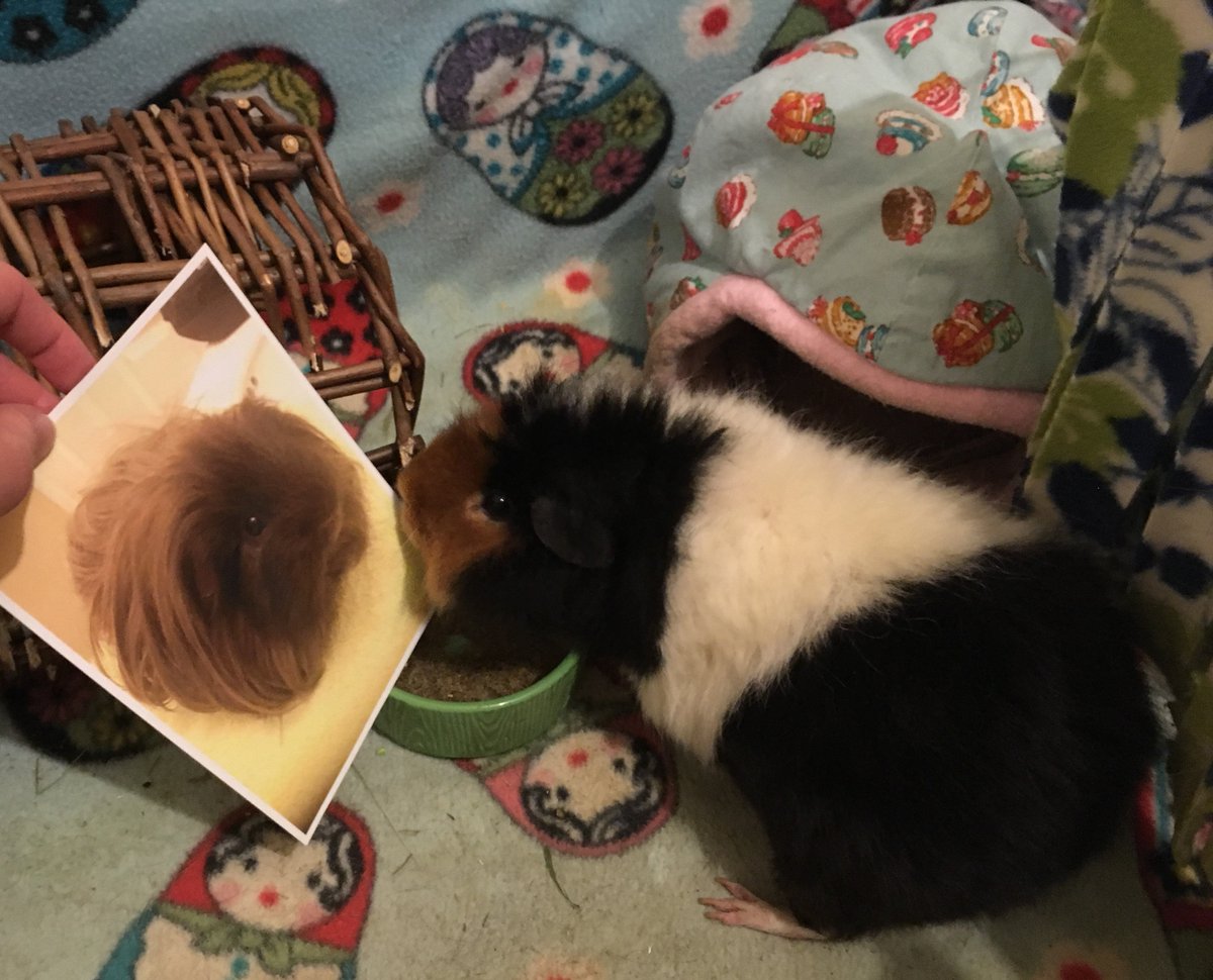 DunkeyFanMail's tweet image. just opened a package from mimi's new boyfriend