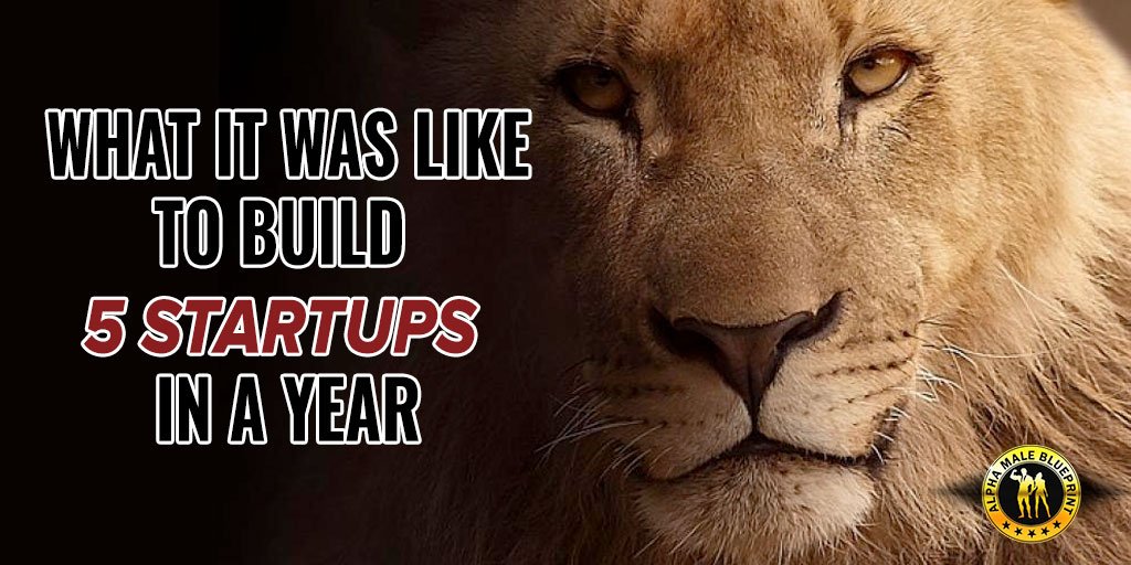 Alpha Male Blueprint tweet media