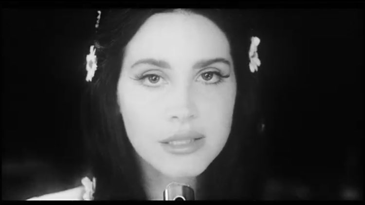 YourGirlJes's tweet photo. This video and song is the best thing to happen in 2017. I'm excited for LDR5 😩😻 #YAIL https://t.co/aJingiNbfg