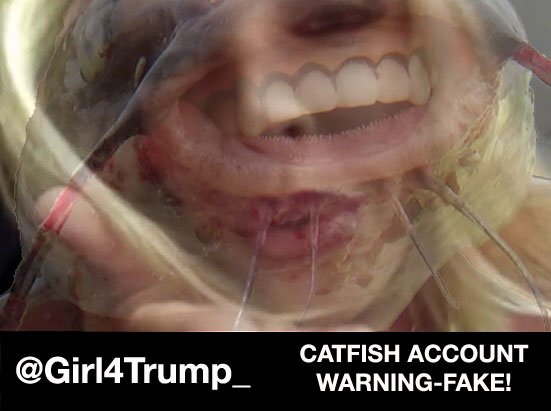 VictoriaIsDone's tweet photo. @TrumpGirll2016 this person is bad! https://t.co/O4qhjjipTJ