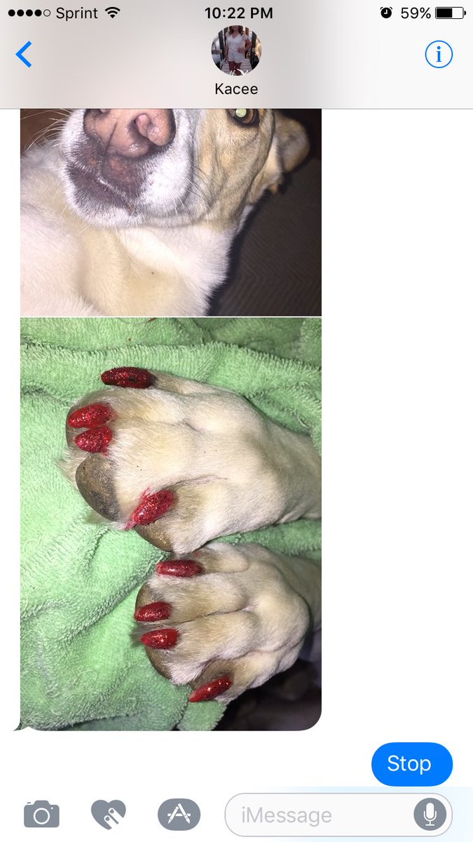 jenmackey23's tweet image. Conversations with @Kacee_Hendrix #thisiswhatimdealingwith