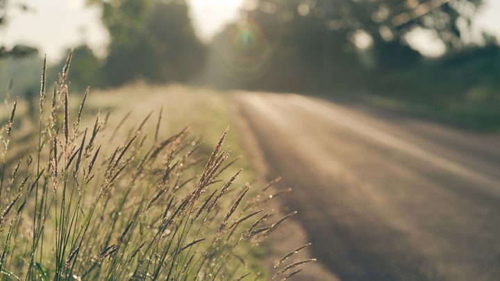 Trishs62's tweet photo. I just finished day 1 of the @YouVersion Plan Grace For The Moment. Check it out here:
https://t.co/74geVYLZQi #BibleFor21 https://t.co/ZlAYJSKIz9