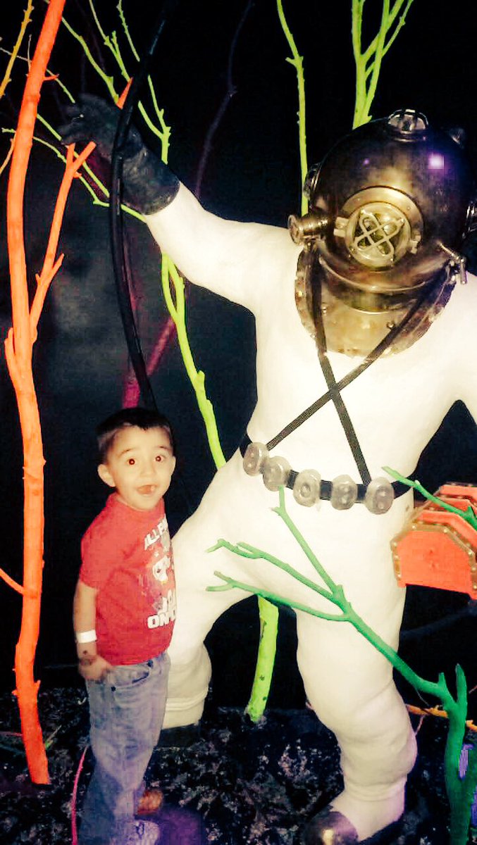srraybaebae's tweet photo. Meow wolf https://t.co/6H6rgkBxg1