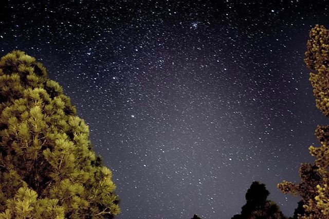 NAU's tweet photo. "Only in darkness can you see the stars" - Martin Luther King Jr. 🌌 https://t.co/fsmbkz3BMu