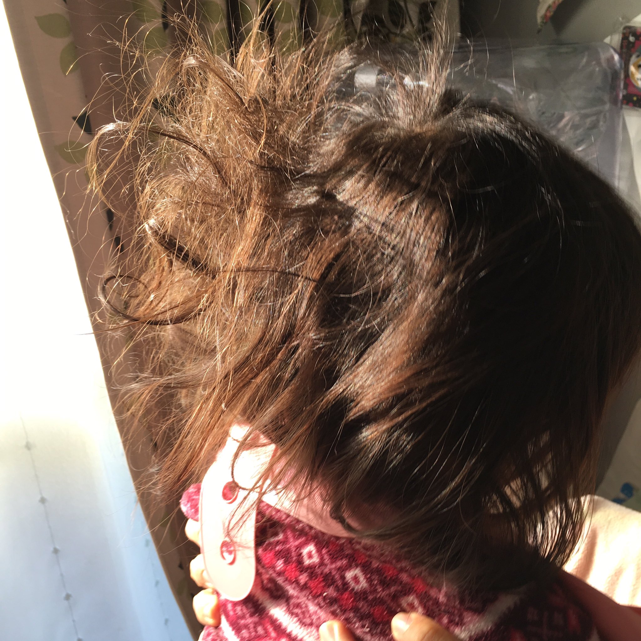 マラサダドーナツ ピープリー ルル 寝癖すごい