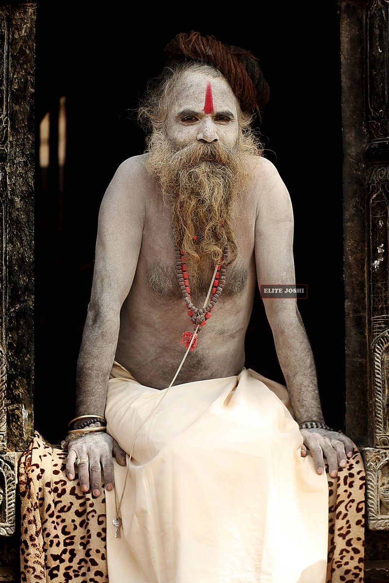 Elite Joshi tweet media