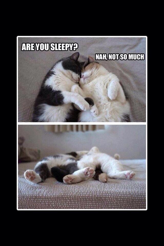 AnchorTrec's tweet image. Nite friends ...