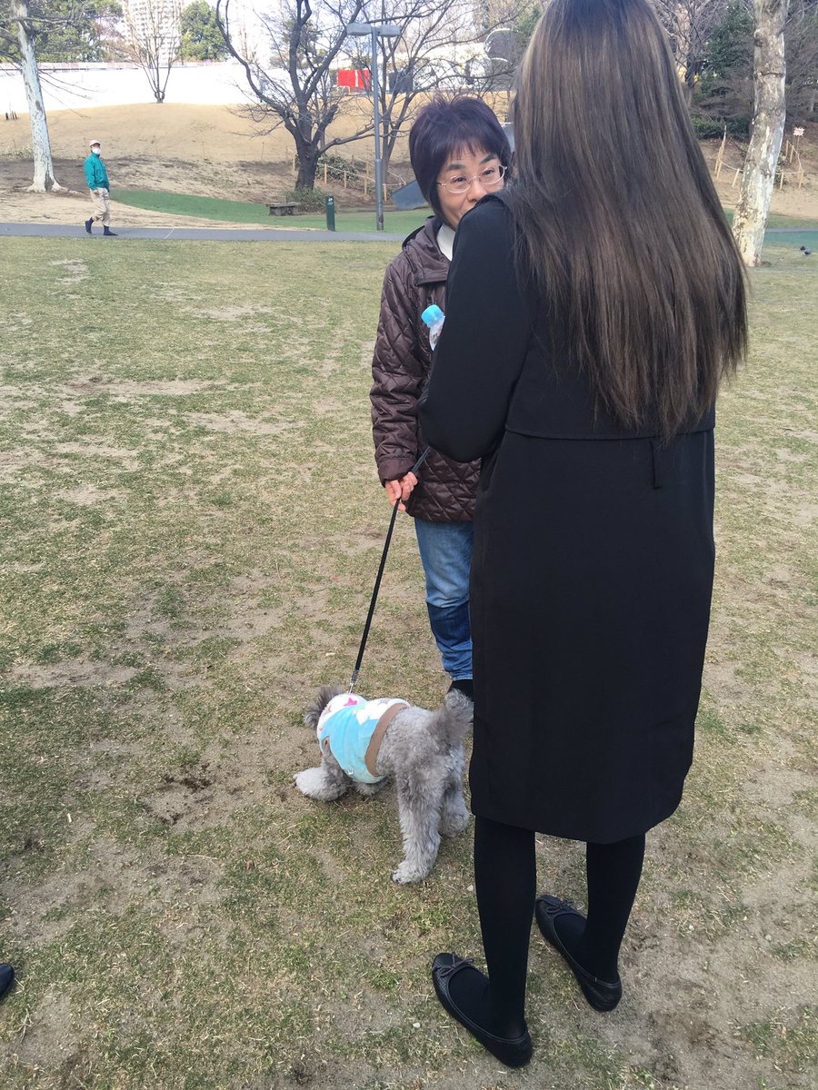 collarcouture16's tweet photo. Collar couture takes Japan! Spreading happiness by passing out our bow ties to our Japanese furry friends💖🐾 https://t.co/pRbzlOIAAC