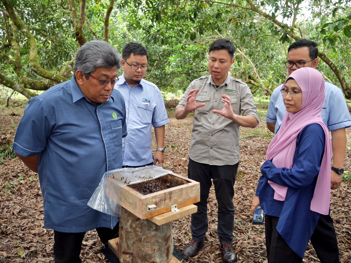 mardimalaysia's tweet photo. Prog. Rantaian Bekalan Madu Kelulut Sarawak, Majlis Taklimat &amp; Pertukaran MoA diantara MARDI-My Iqra Solutions @ MARDI Saratok. #betterMARDI https://t.co/7x3AimWDUK