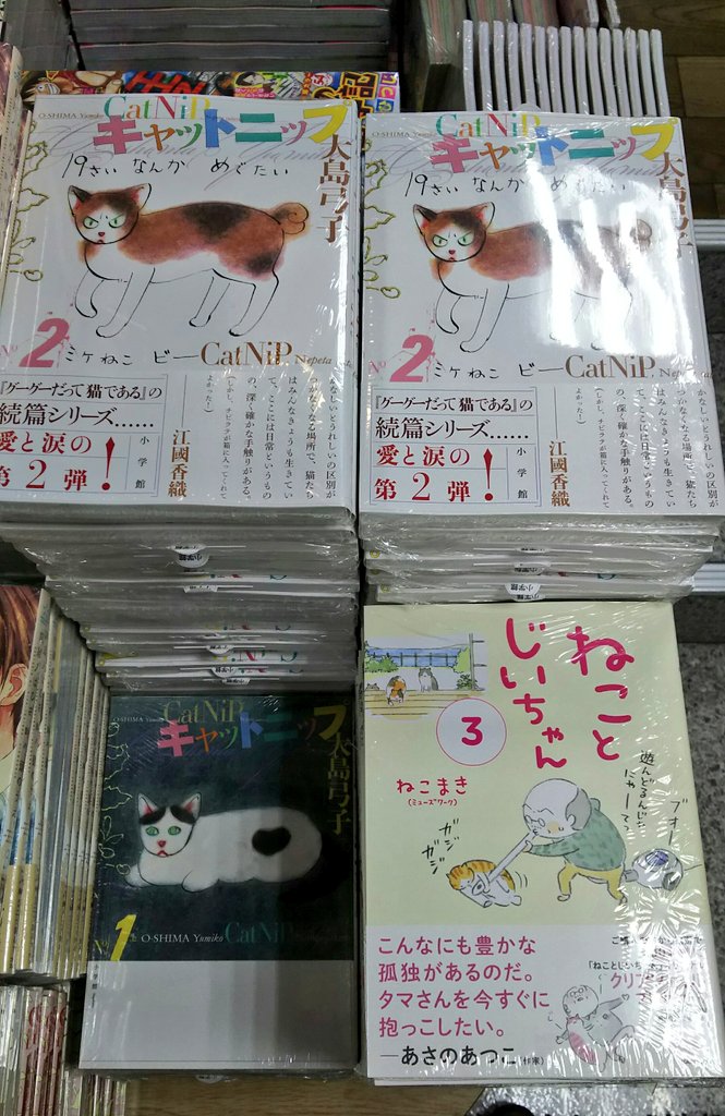 ট ইট র 明正堂書店アトレ上野店コミックお知らせ キャットニップ 2巻 小学館 大島 弓子 グーグーだって猫である シリーズ続編の第二弾 こちらも涙なしでは見られないです 亡くなることを受け止めねば ひら
