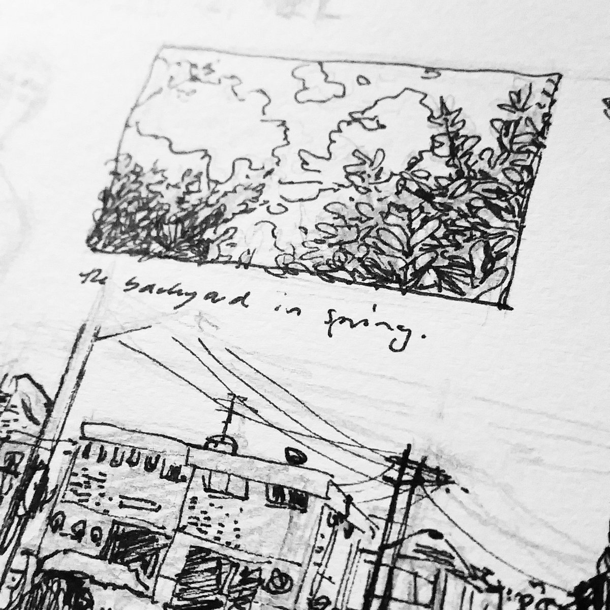 Tiny pen doodles, because drawing big things continues to intimidate me ? 