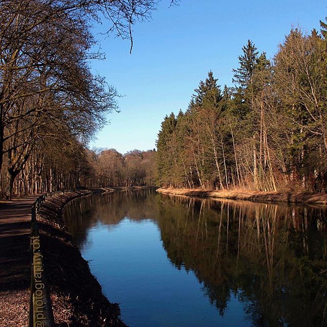 BrandFoxHQ's tweet photo. Beautiful day for a walk! You can sell your photos on BrandFox. https://t.co/wfYf4UYI38 #stockphotos #stockphotography #instagram #photos https://t.co/FLHDL3qv3q