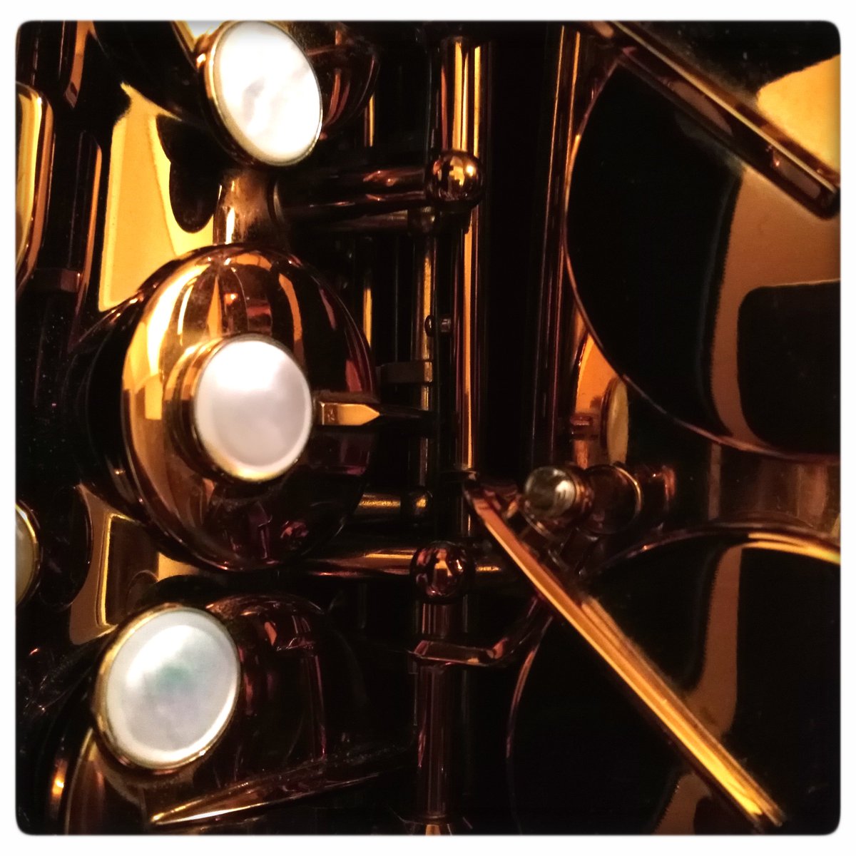 SaxPulsion's tweet photo. #saxporn #selmer #saxophonealto #saxalto https://t.co/VGYg40588Z
