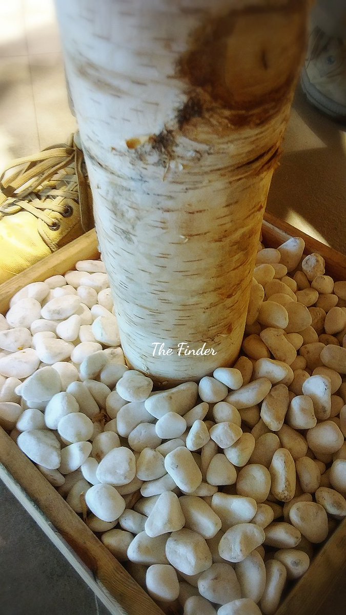 [사진동호회]The Finder - 밤에내리는비와 카페안의 나무
#사진 #Thefinder #더파인더 #제천 #Photo
#비 #야경 #빗방울 #나무 #조약돌 #밤하늘 #흰돌 #tree #자연 #rain
cafe.naver.com/thefinder16