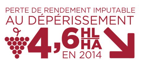 Les #dépérissements du #vignoble causent chaque année des pertes de 4,6 hL/ha