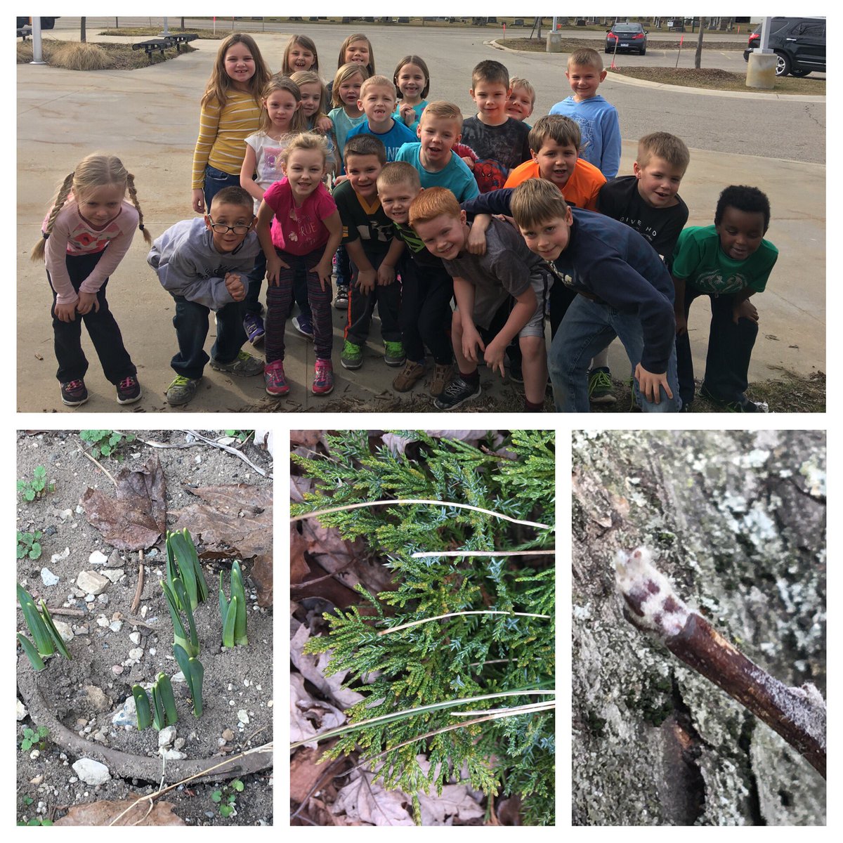 KristiZoerhof's tweet photo. @MrsZFabFirsties found signs of new growth during a warm February day for #NatureRichWestMi day! Daffodils &amp; buds of all kinds are growing! https://t.co/jNYJ4Fj0KM