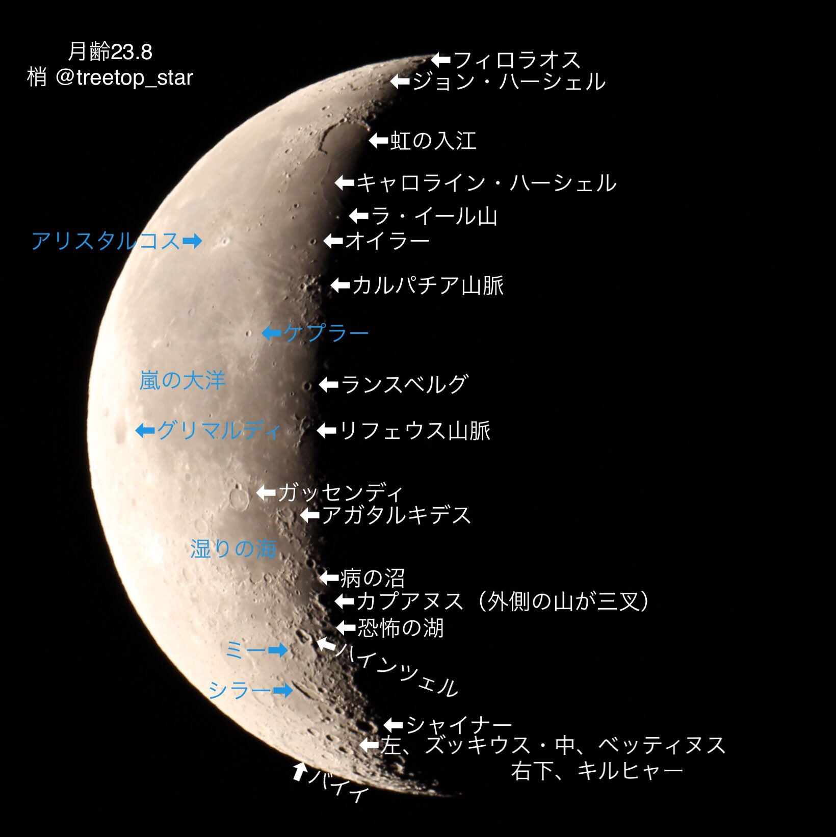 森 梢 Kozue Mori 早朝の月を観ていました 見所はバイイ 月表面最大のクレーター ですが縁ギリギリなので 月の首振り運動で南西が見やすい時しかチャンスはありません 大きいです でかっ と思わず独り言 キャロラインが観られて嬉しかった