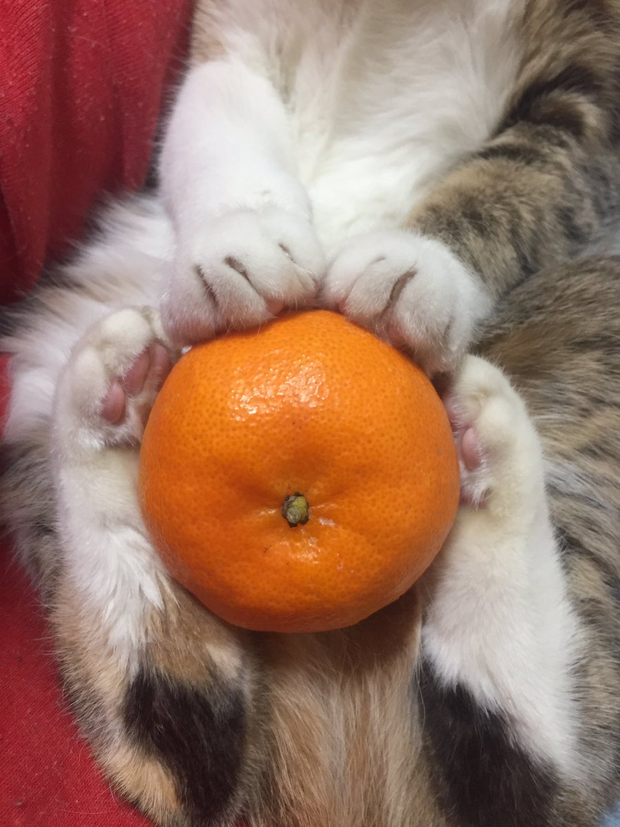 내 새끼 넘 귀엽다