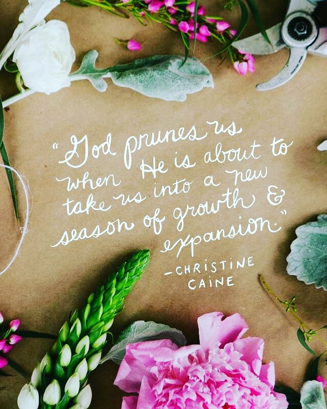 mochapearl12's tweet image. #pearlfectthoughts #pearlfectreflections #positivevibes #positivethoughts #positivemindset #authenticliving