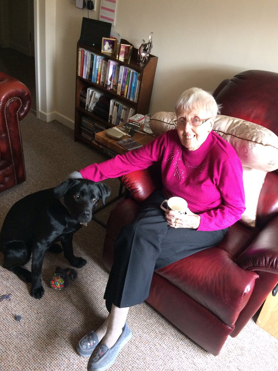 PoppyPawspets's tweet photo. Having a wee visit with Nan. Good practice for Poppy's indoor manners #dogwalking #wilmslow #labradorretriever #cheshire #petsastherapy https://t.co/Z6jY9vgO5p
