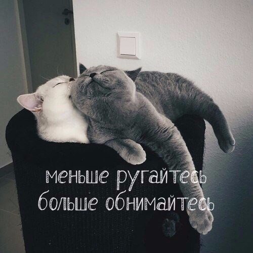 Милашка Фея (@nice_fairy_) on Twitter photo 