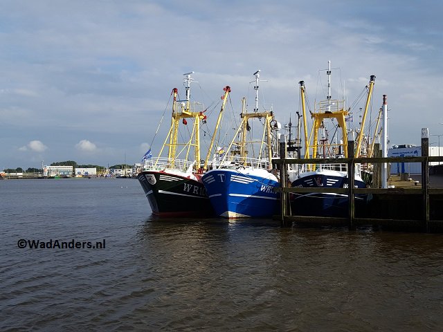 #visserij #DenOever #Wieringen #WR  #archief