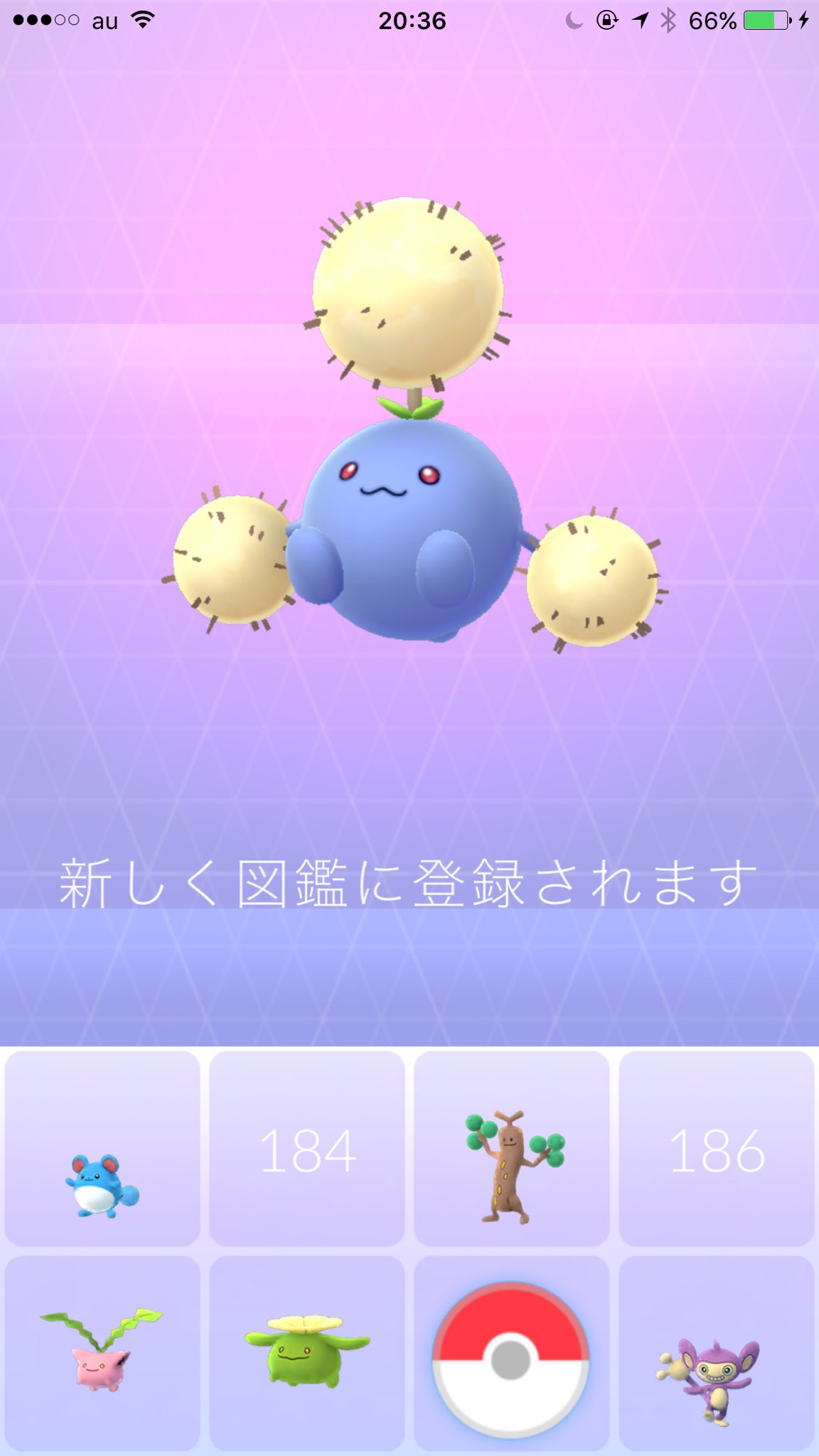 تويتر グッチ ポケgo大阪tl40 على تويتر このハネッコて子 個体値いいからワタッコにしてあげたよ ポケモンgo ハネッコ からの ポポッコ からの ワタッコ かわいい のか T Co 5xrwyhifqk
