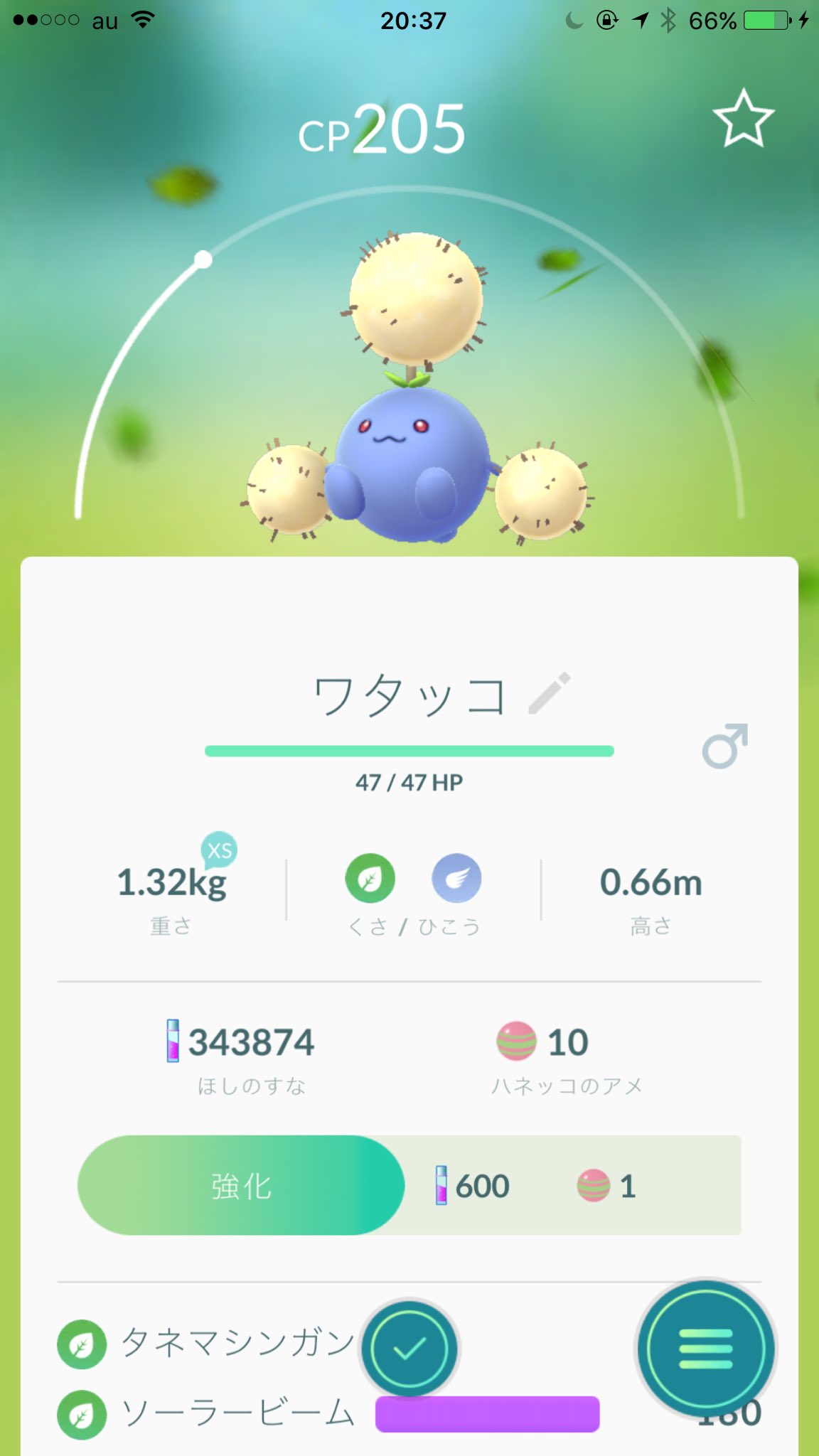 グッチ ポケgo大阪tl40 على تويتر このハネッコて子 個体値いいからワタッコにしてあげたよ ポケモンgo ハネッコ からの ポポッコ からの ワタッコ かわいい のか グッチ ポケgo大阪tl40 على تويتر このハネッコて子 個体値いいからワタッコにしてあげたよ ポケモンgo ハネッコ からの ポポッコ からの ワタッコ かわいい のか