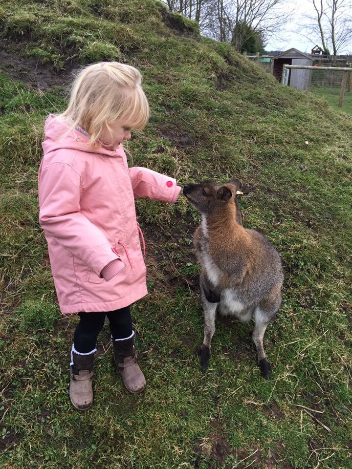 Matlock Farm Park tweet media