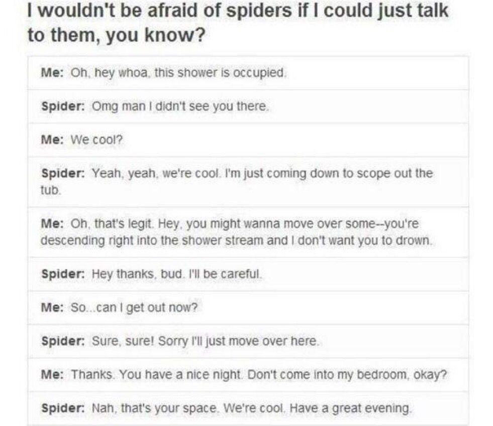 CauseWereGuys's tweet photo. If spiders were like this https://t.co/csWGxYkZ0i
