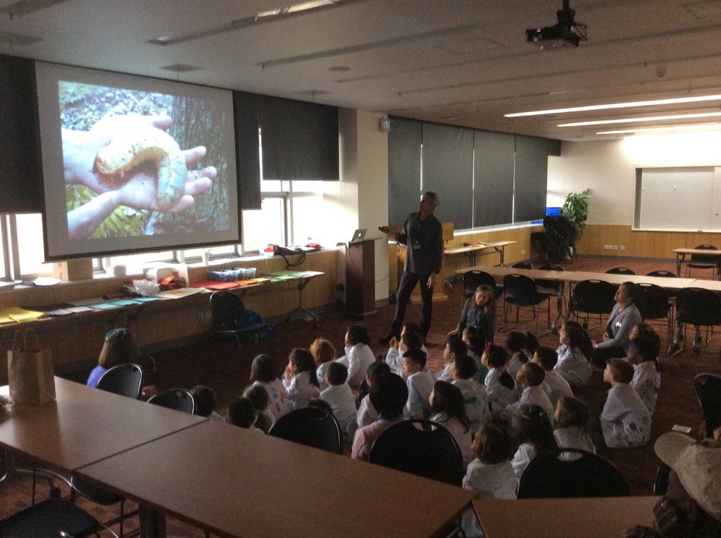 Library_ES's tweet photo. Investigating with Steve Jenkins & Robin Page #ESBookWeek https://t.co/9RMXPhfss5