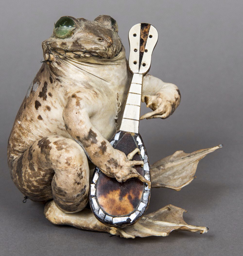 will_axon's tweet photo. Sale day today - who doesn't need a stuffed toad playing a mandolin in their lives? Have a gander @thesaleroom https://t.co/qXns8gHyQE https://t.co/jtaYAEAocy
