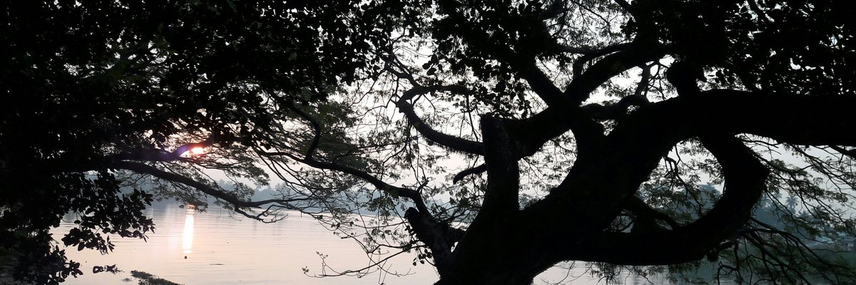 PathmaBan tweet picture